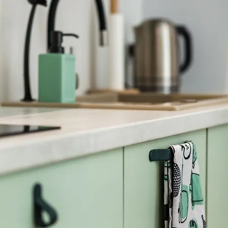 Simona Stare Apartment